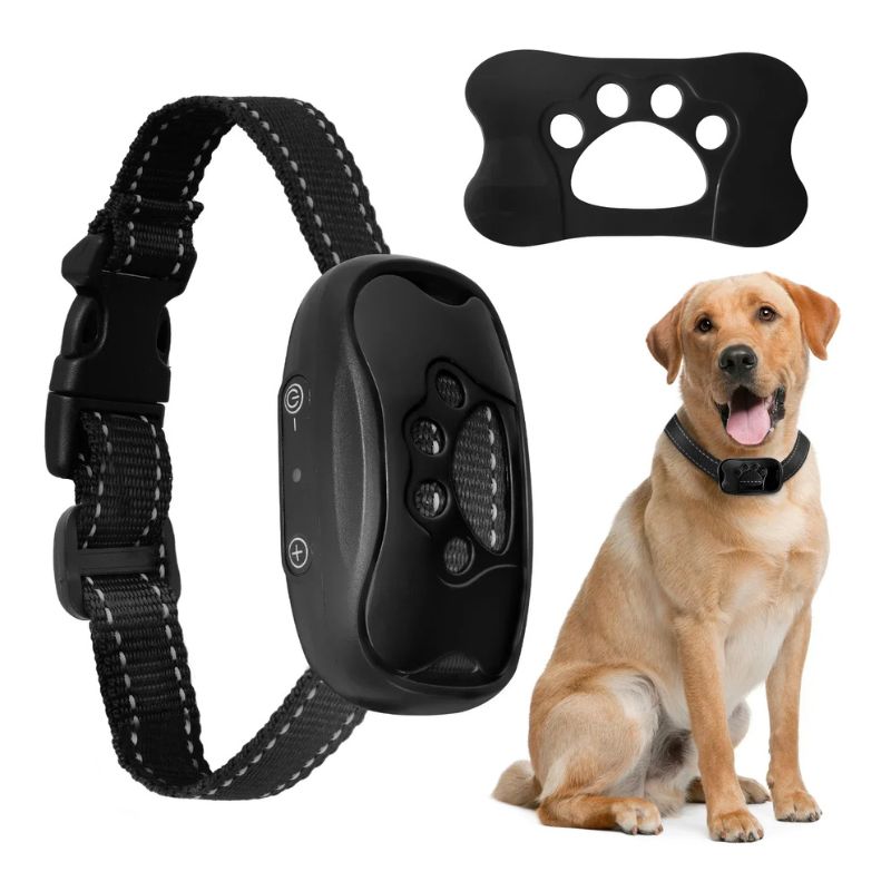 Anti-Barking Collar