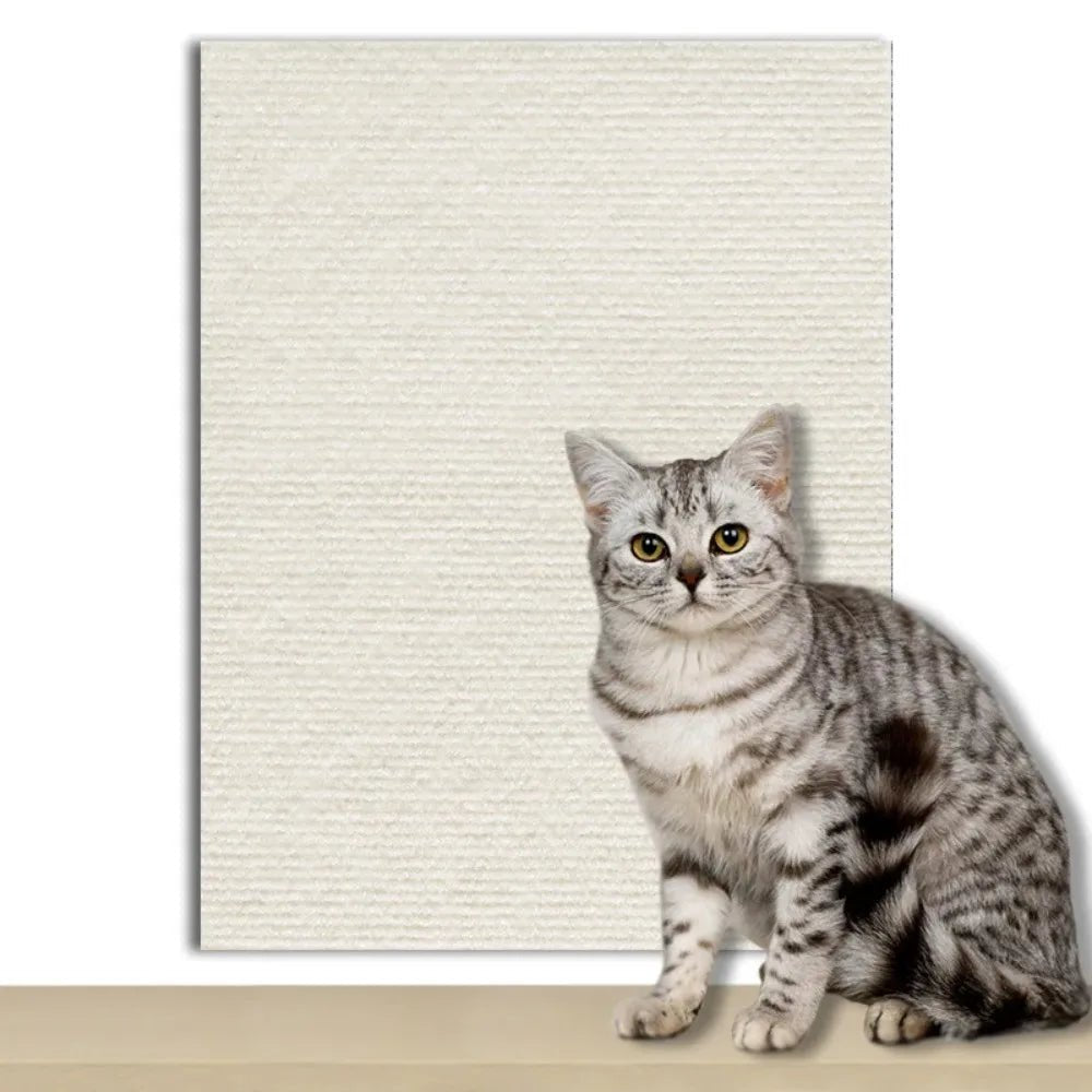 CATSTICKSHIELD – Self-adhesive protective plate for cats to protect furniture, walls & carpets