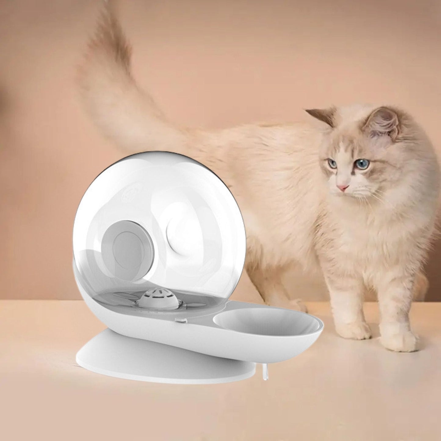 Electricity-Free Cat Water Fountain Snail