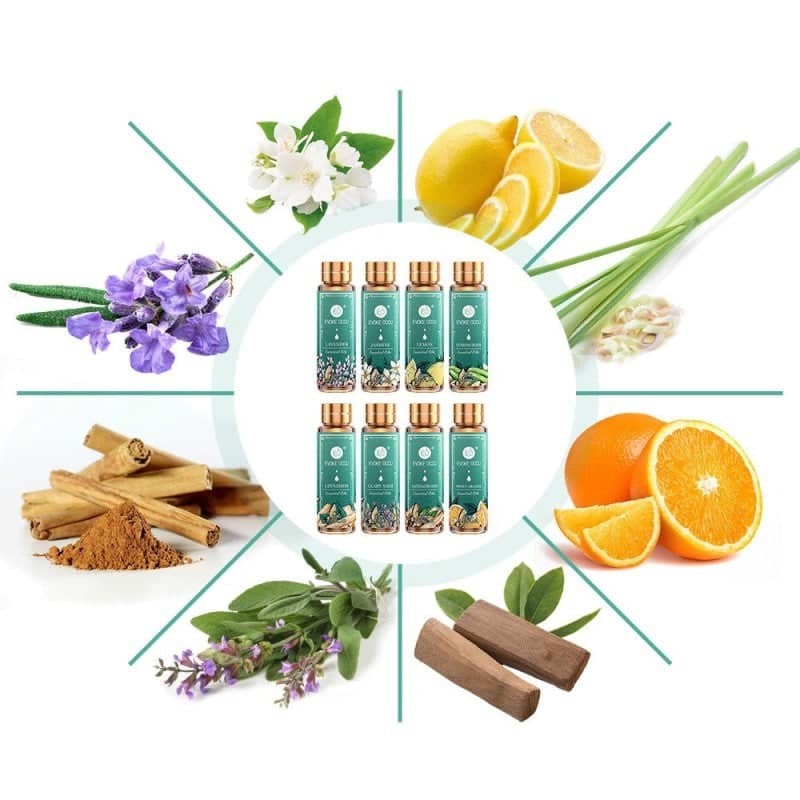 Essential Oils Set - Divine Nature x16