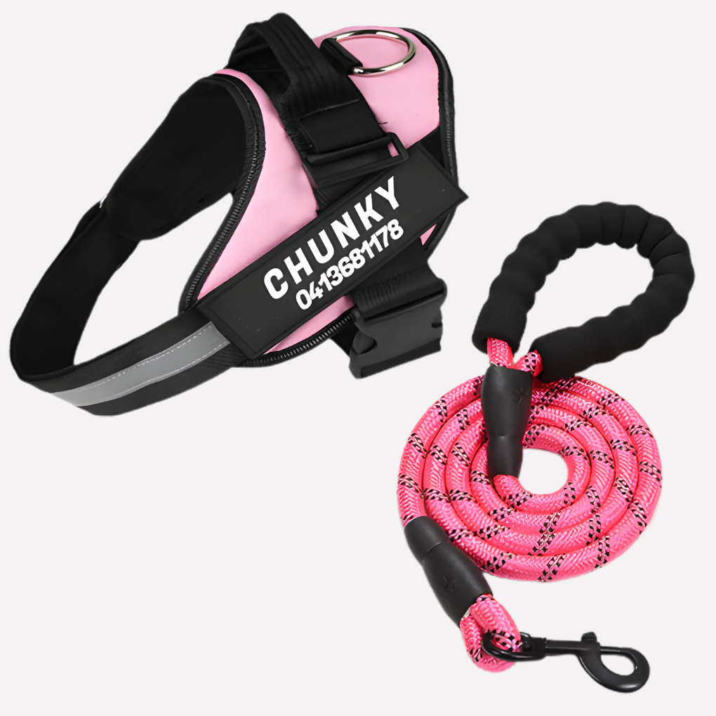 Glevato | Customizable Anti-Pull Dog Harness