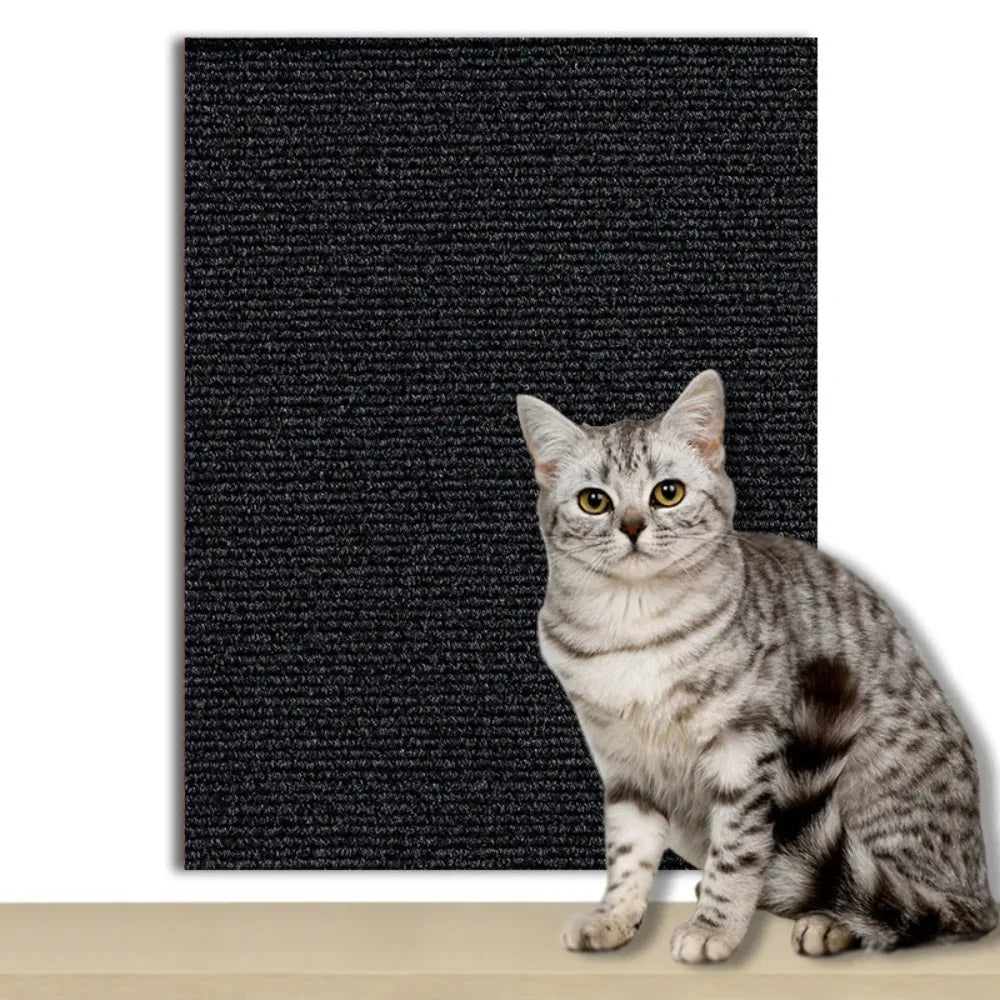 CATSTICKSHIELD – Self-adhesive protective plate for cats to protect furniture, walls & carpets