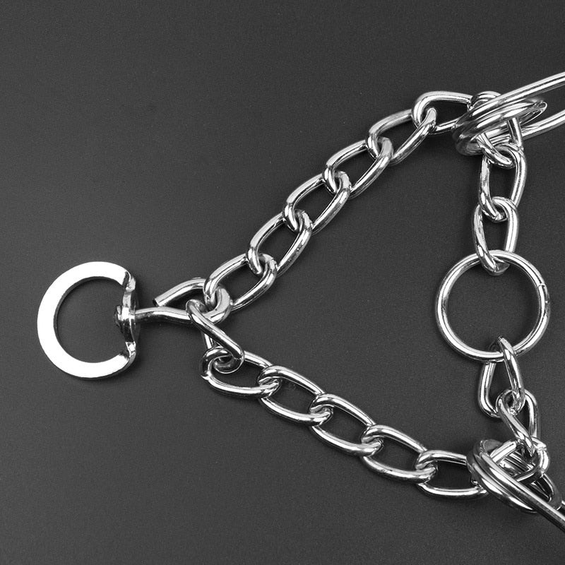 Dog Prong Collar - Style B