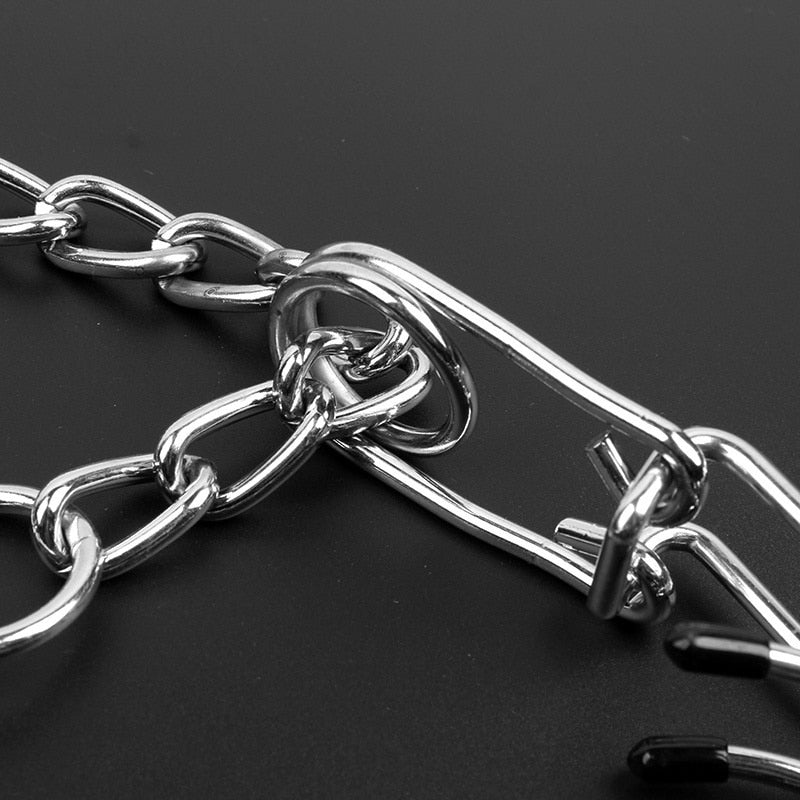 Dog Prong Collar - Style B
