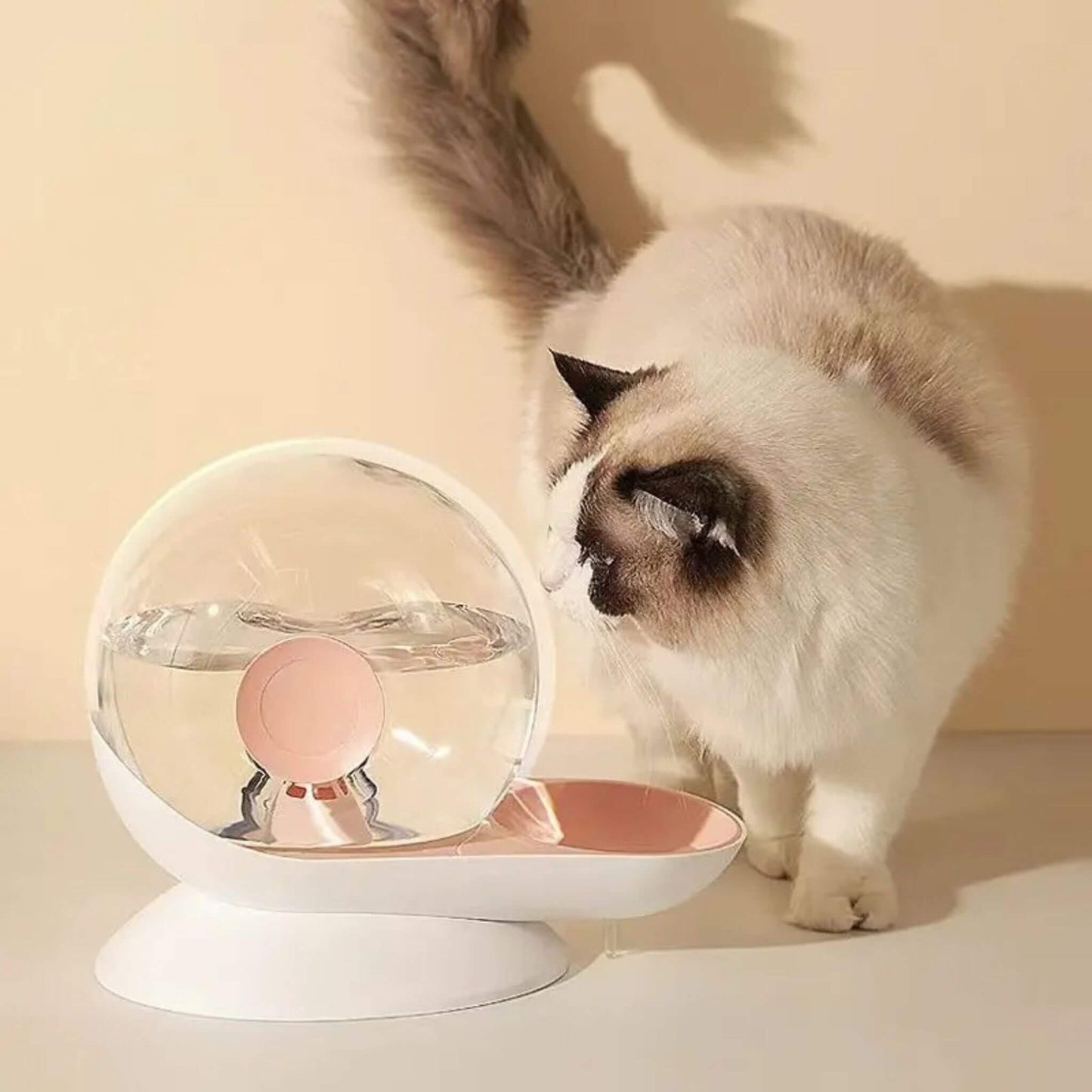 Electricity-Free Cat Water Fountain Snail