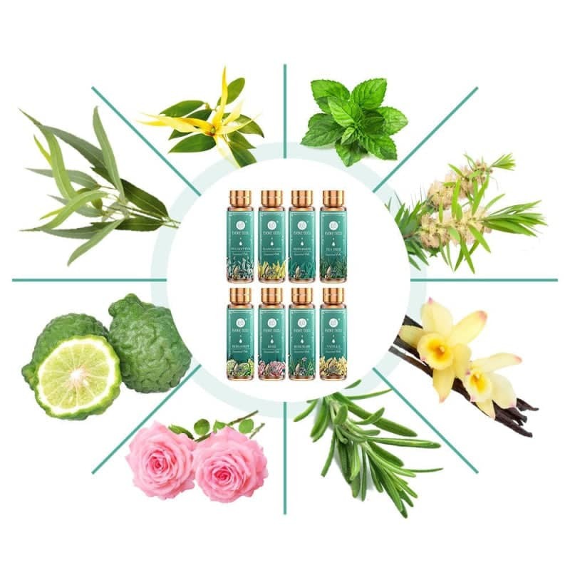 Essential Oils Set - Divine Nature x16