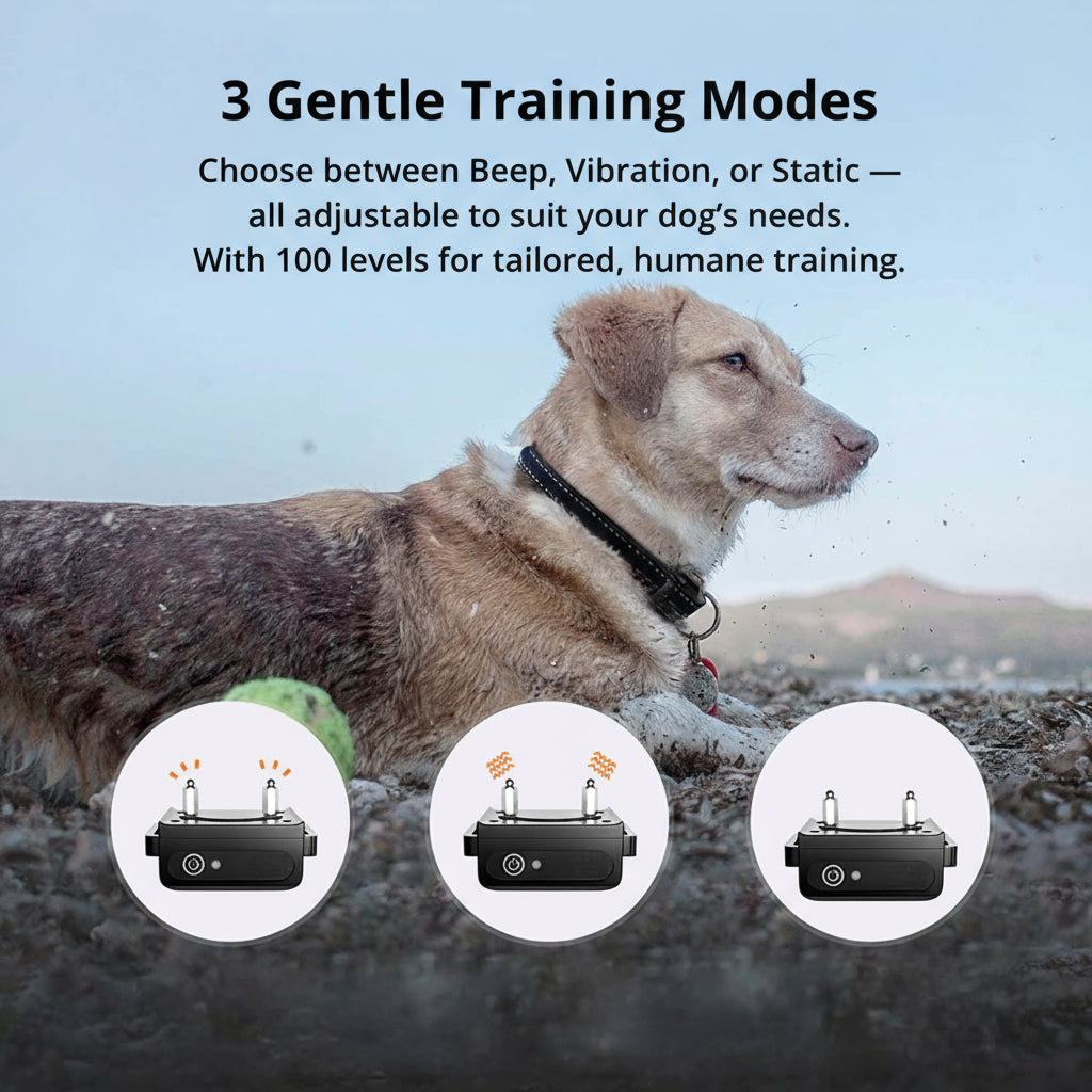 Glevato | 1000m Waterproof Dog Training Collar | Rechargeable, Remote Control & Adjustable for Small, Medium, and Large Dogs