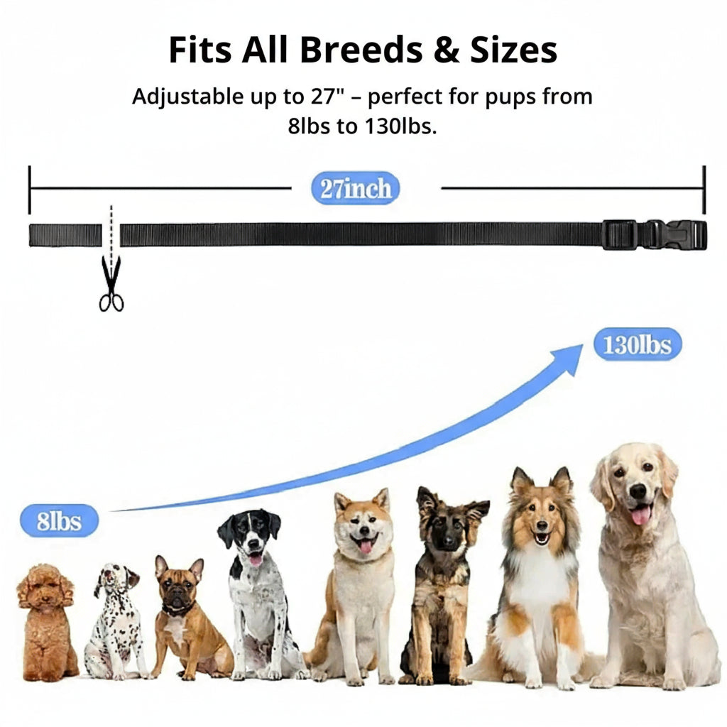 Glevato | 1000m Waterproof Dog Training Collar | Rechargeable, Remote Control & Adjustable for Small, Medium, and Large Dogs