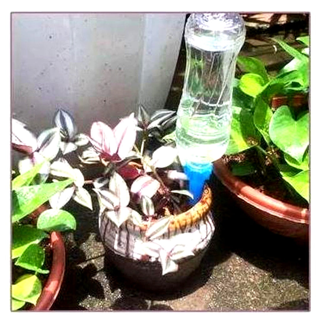 Glevato | Adjustable Plant Watering Spikes for Garden & Home Use