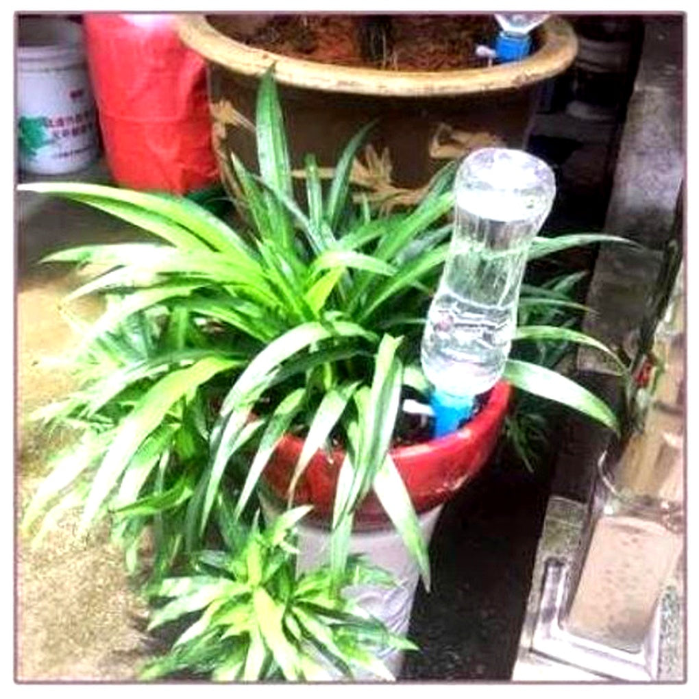 Glevato | Adjustable Watering Spikes for Plants - Garden Self Waterer