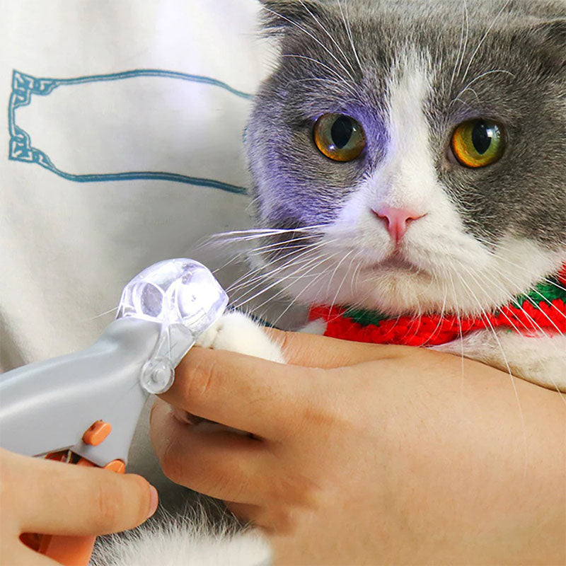 Glevato | Best Dog Nail Clipper With Quick Sensors