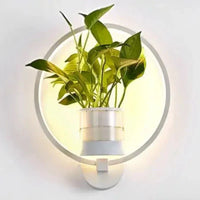 Glevato | Botaniczna lampa ścienna z rośliną | Stylowe oświetlenie ścienne
