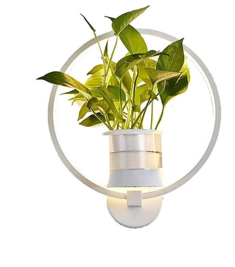 Glevato | Botanical Wall Light with Plant | Stylish Wall Lighting