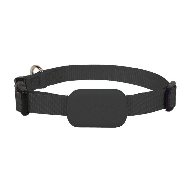 Glevato | Cat GPS Tracker Collar Real-time Location