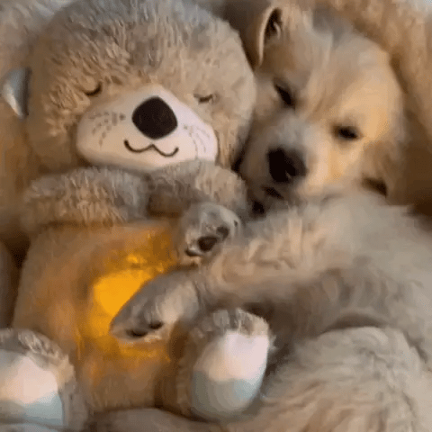 Glevato | Children's Night Light Plush Toy