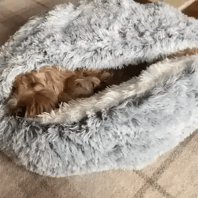 Glevato | Cozy Cave Pet Bed | Calming & Comfortable Dog Bed for Deep Relaxation