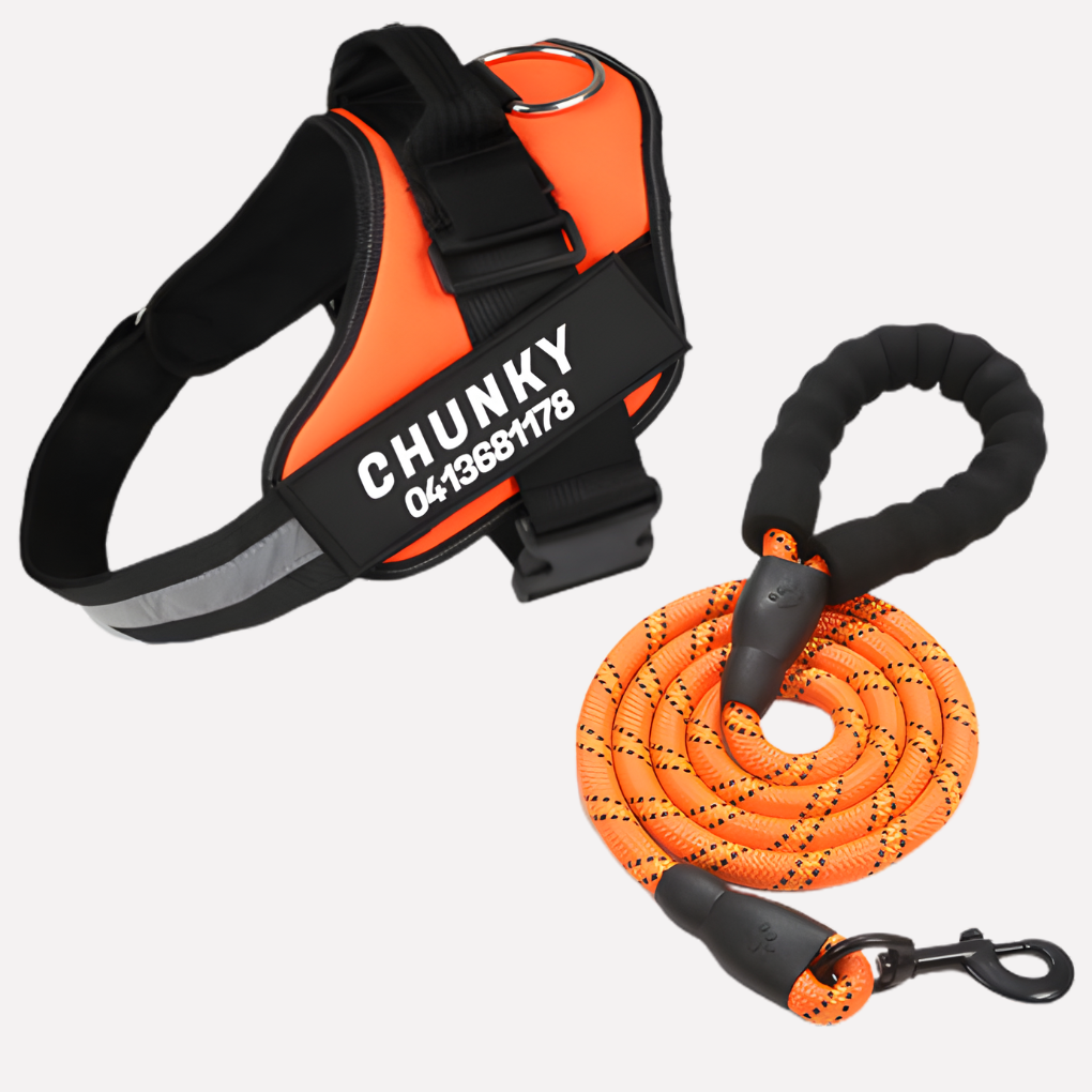 Glevato | Customizable Anti-Pull Dog Harness