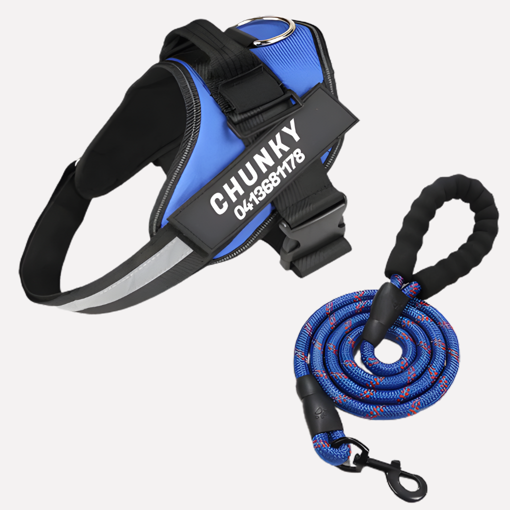 Glevato | Customizable Anti-Pull Dog Harness