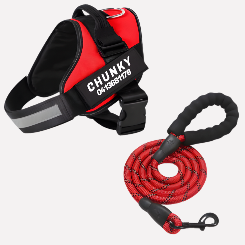Glevato | Customizable Anti-Pull Dog Harness