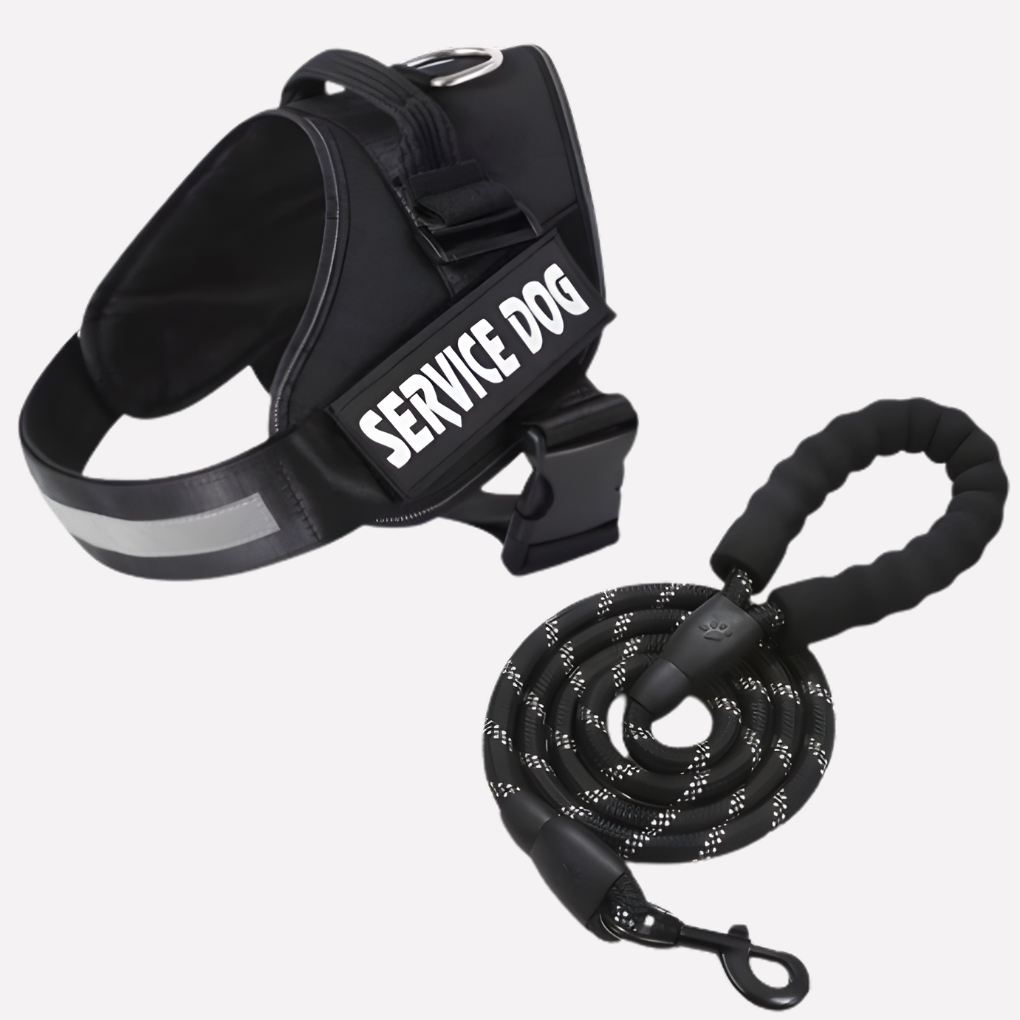 Glevato | Customizable Anti-Pull Dog Harness