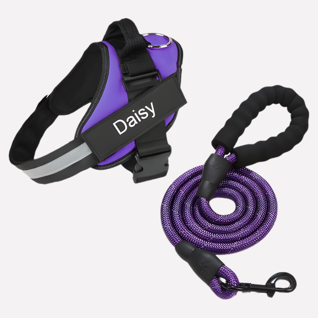 Glevato | Customizable Anti-Pull Dog Harness