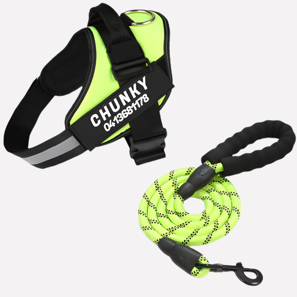 Glevato | Customizable Anti-Pull Dog Harness