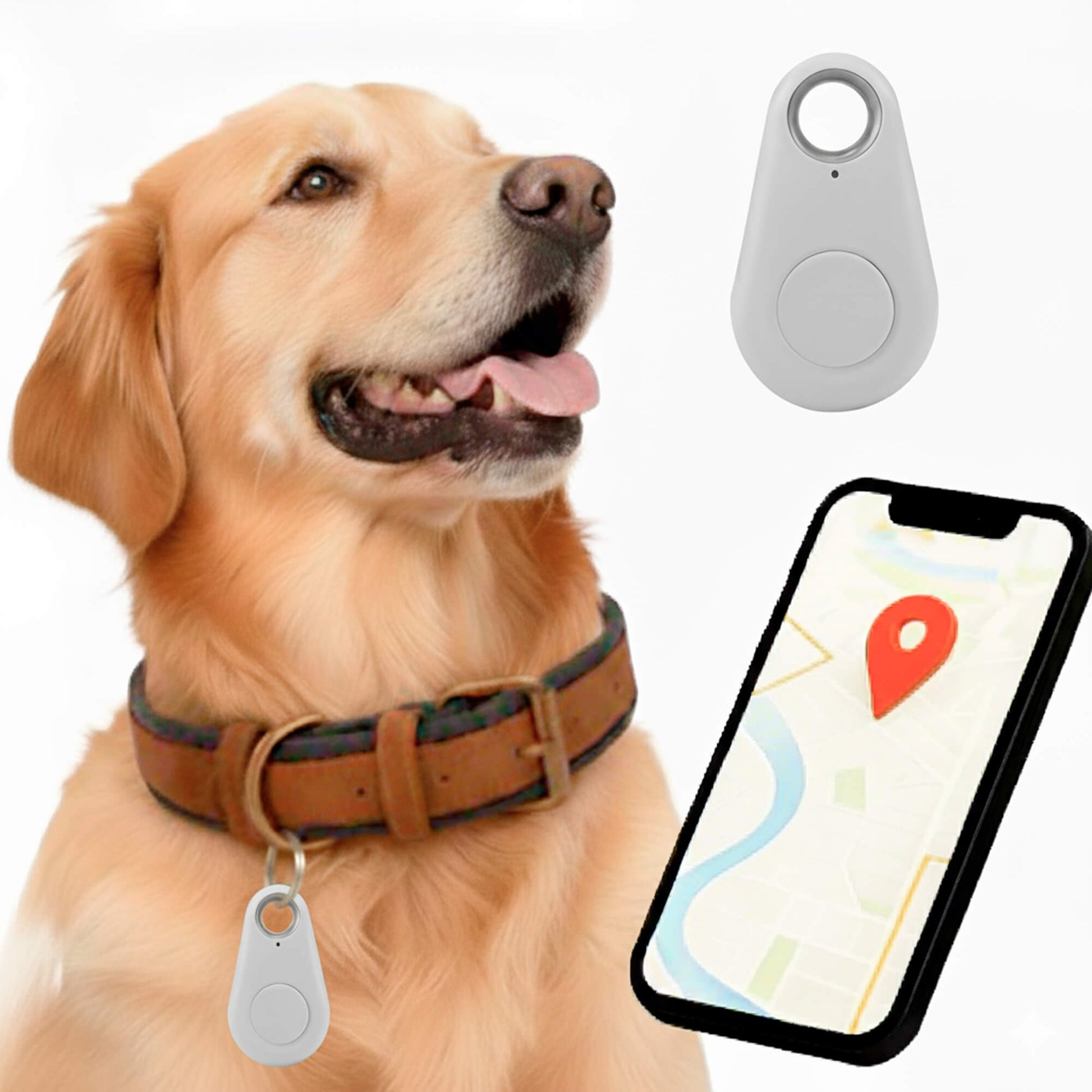 Glevato | GPS Dog Tracker | Waterproof, Real-Time Location & Safety Zone Alerts for Outdoor Adventures