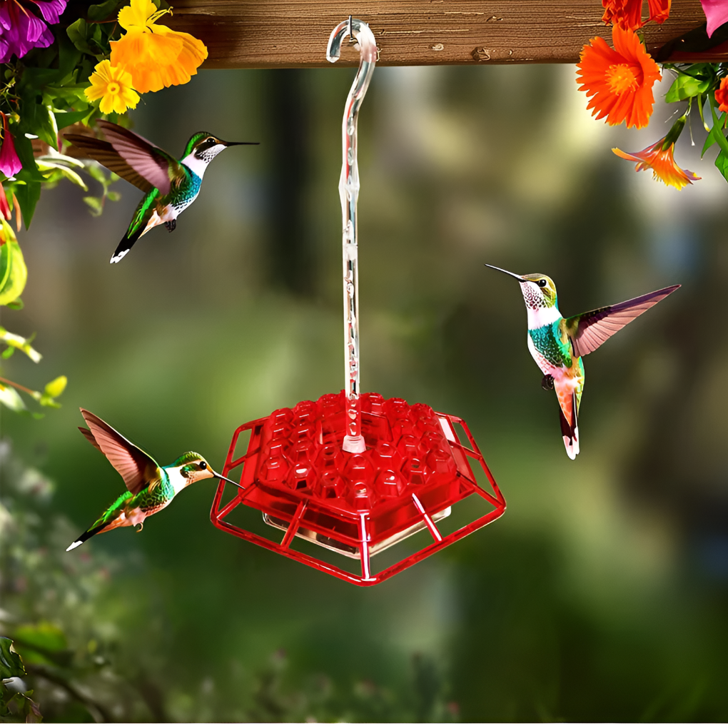 Glevato | Hummingbird Feeder with Ant Moat & Bee Guards