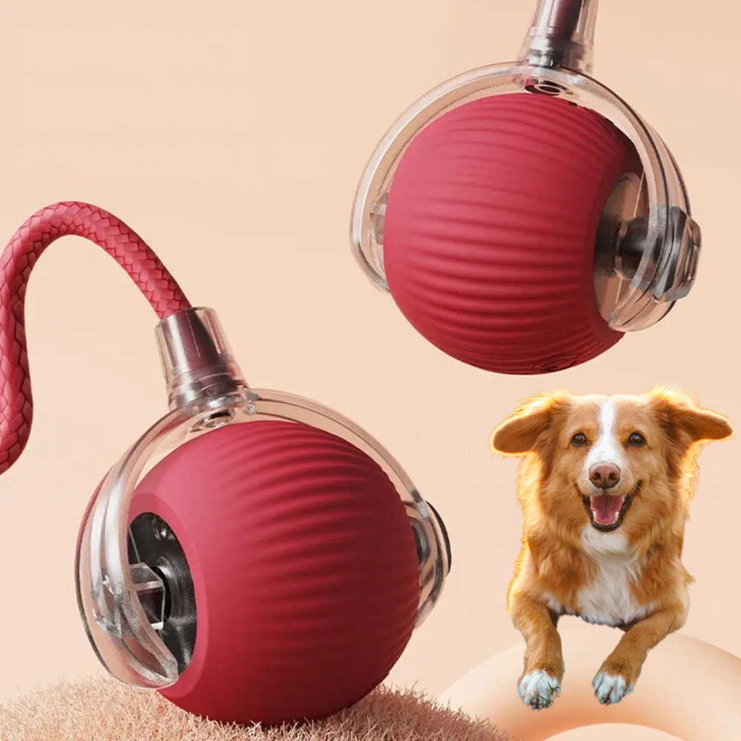 Glevato | Interactive Rolling Ball Toy with Tail for Dogs