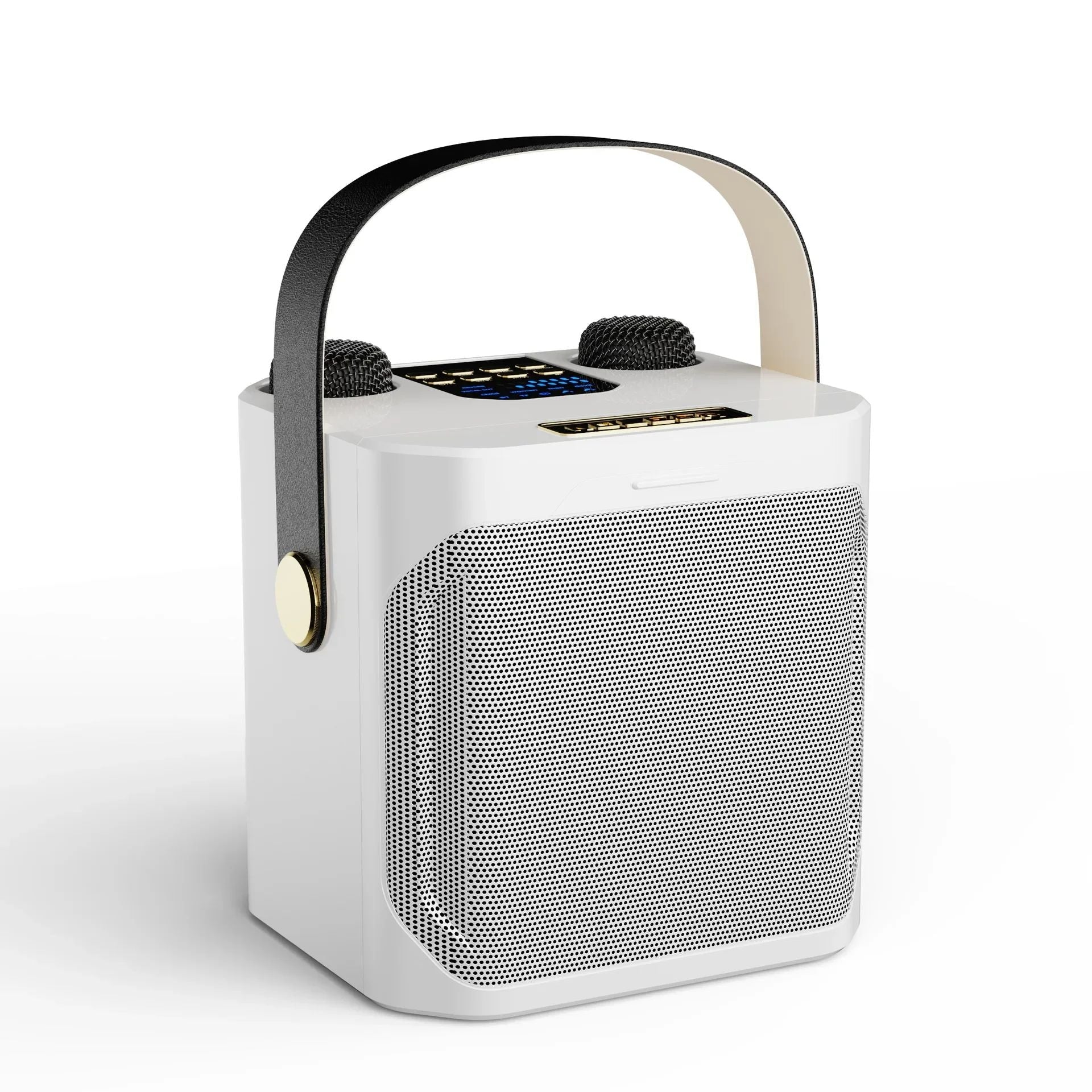 Glevato | Karaoke Bluetooth Speaker – 360° Surround Wireless Subwoofer with Dual Mics