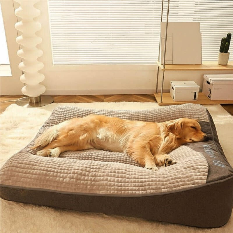 Glevato | Large Scratch-Resistant Dog Bed with Orthopedic Back Support