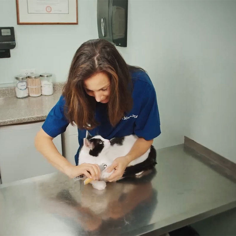 Glevato | Pet Nail Clippers with LED Light and Safety Sensor