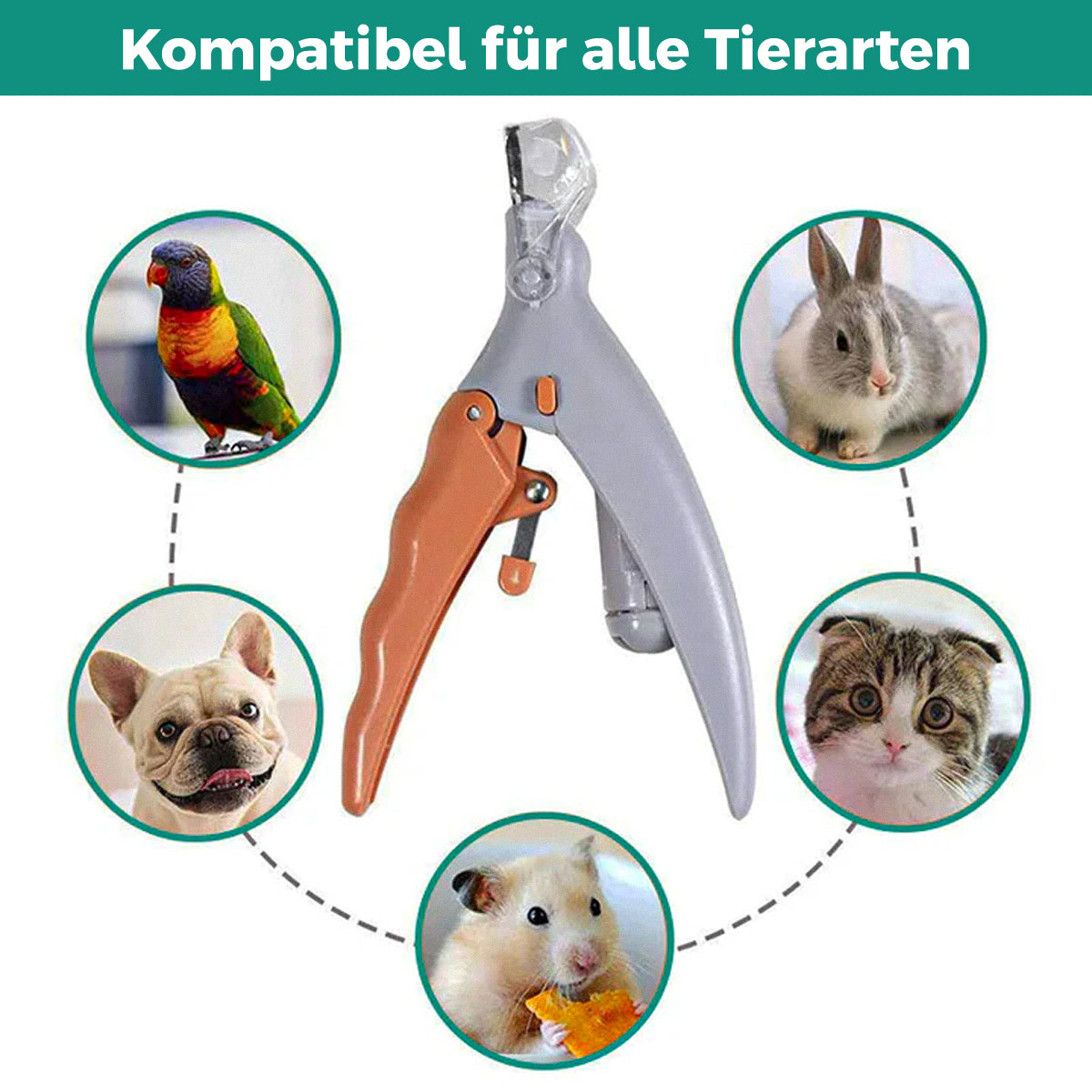 Glevato | Pet Nail Clippers with LED Light and Safety Sensor