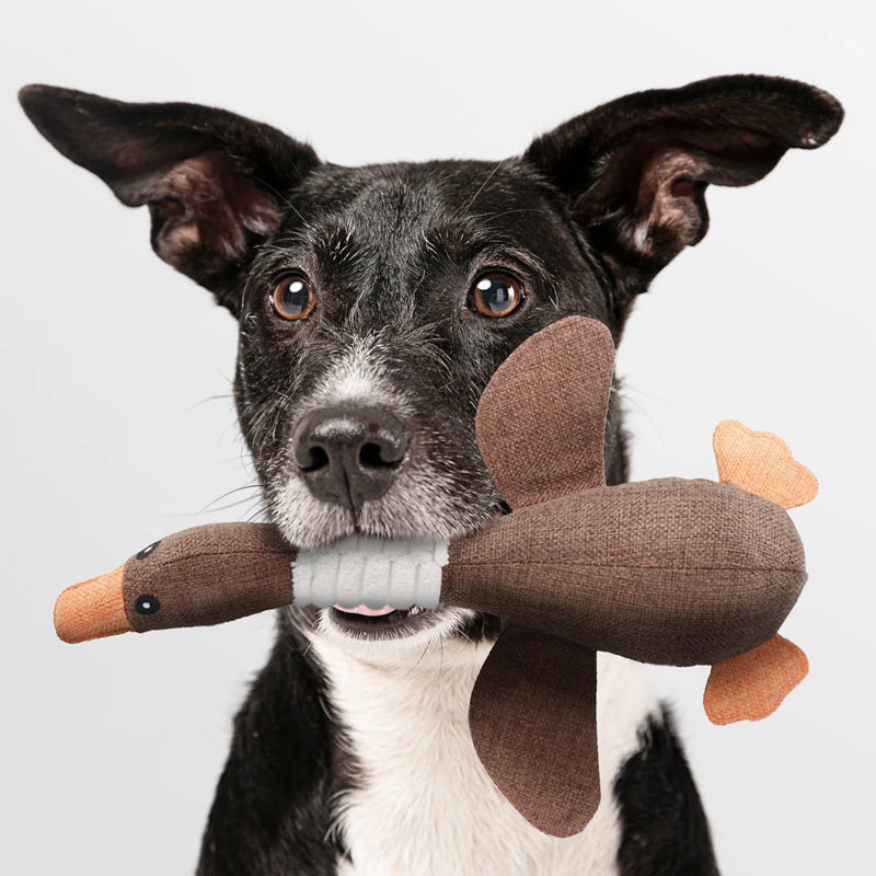Glevato | Plush Duck Dog Toy with Tail & Beak