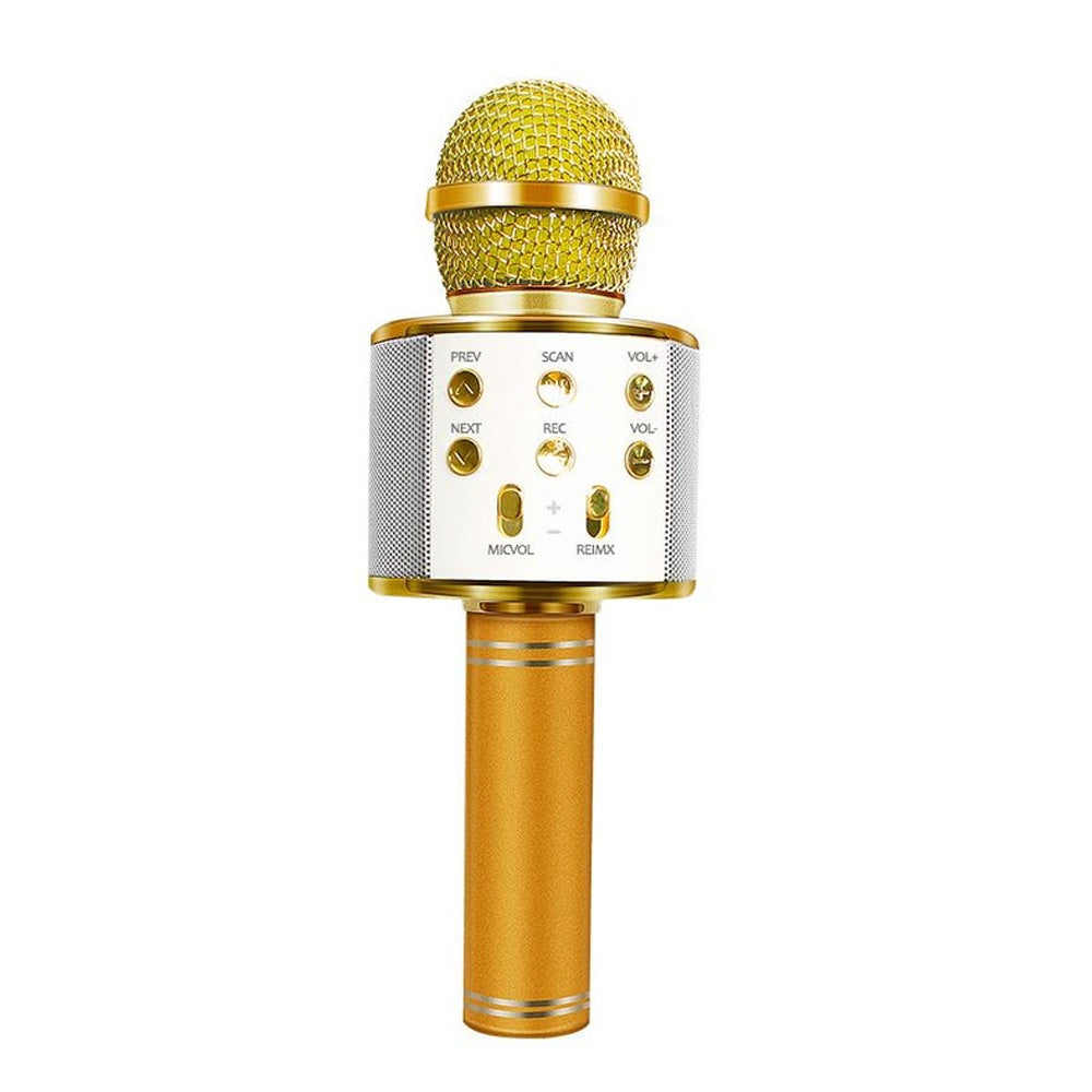 Glevato | Rechargeable Wireless Bluetooth Karaoke Microphone