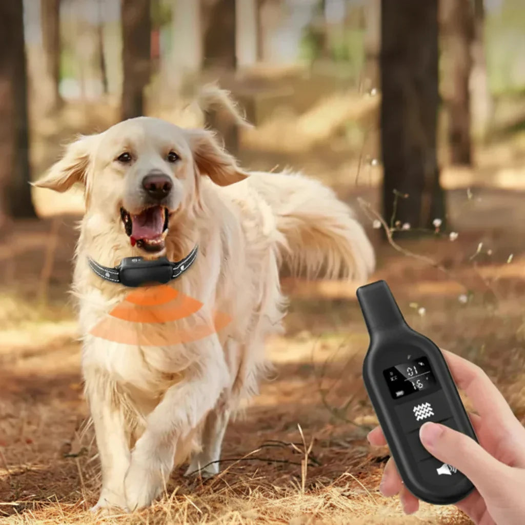 Glevato | Remote Dog Training Collar with Beep & Vibration