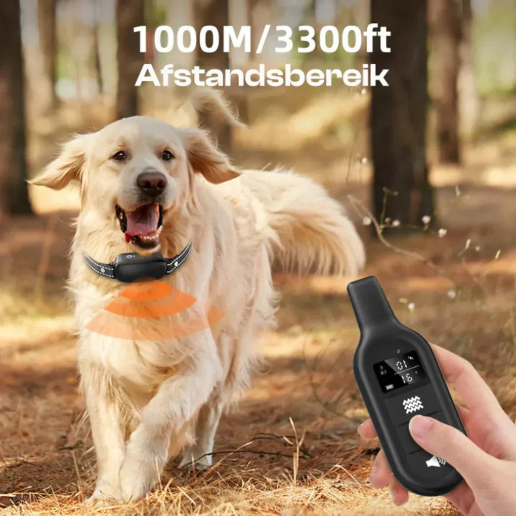 Glevato | Remote Dog Training Collar with Long Range
