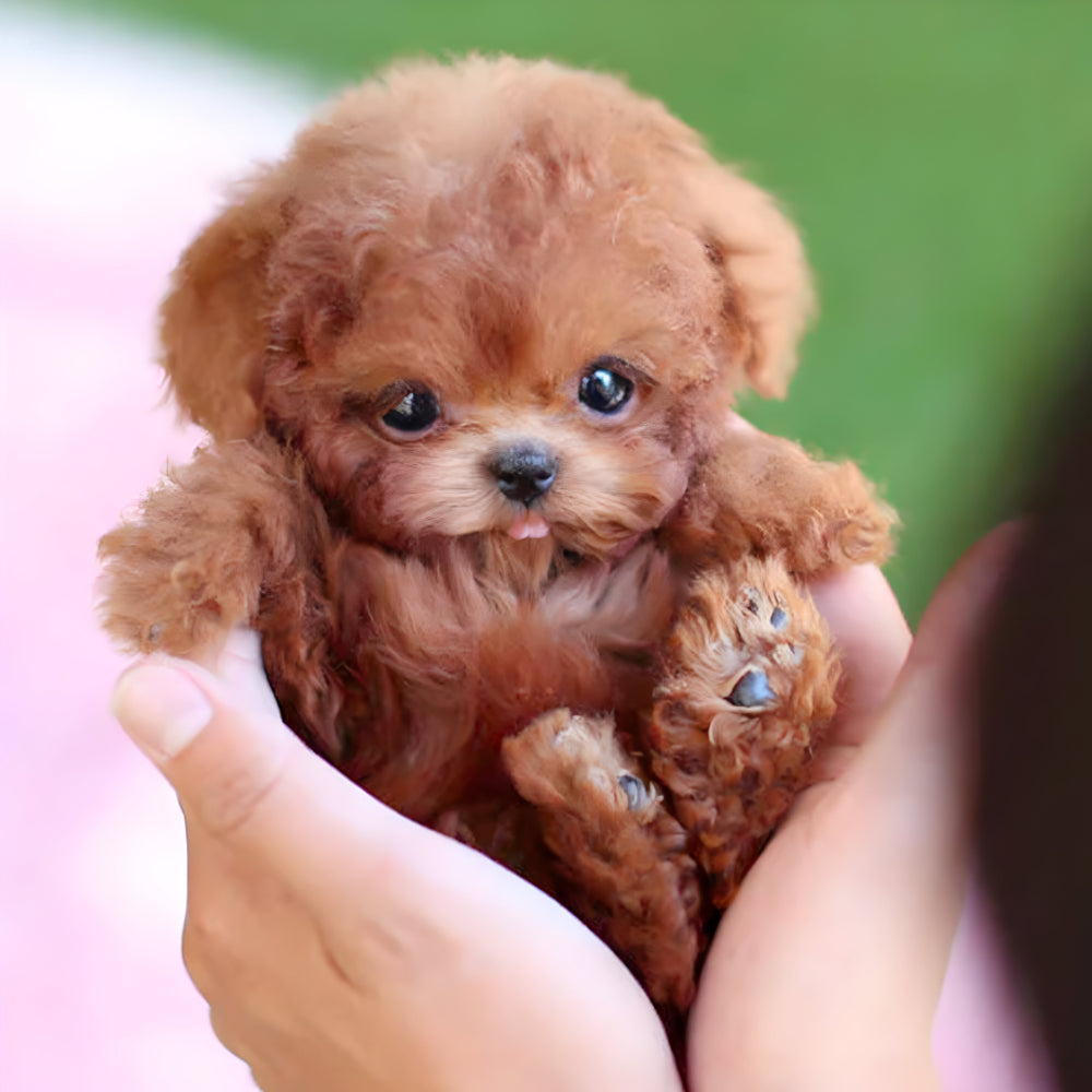 Glevato | Robot Puppy Toy | Walks, Barks, and Responds