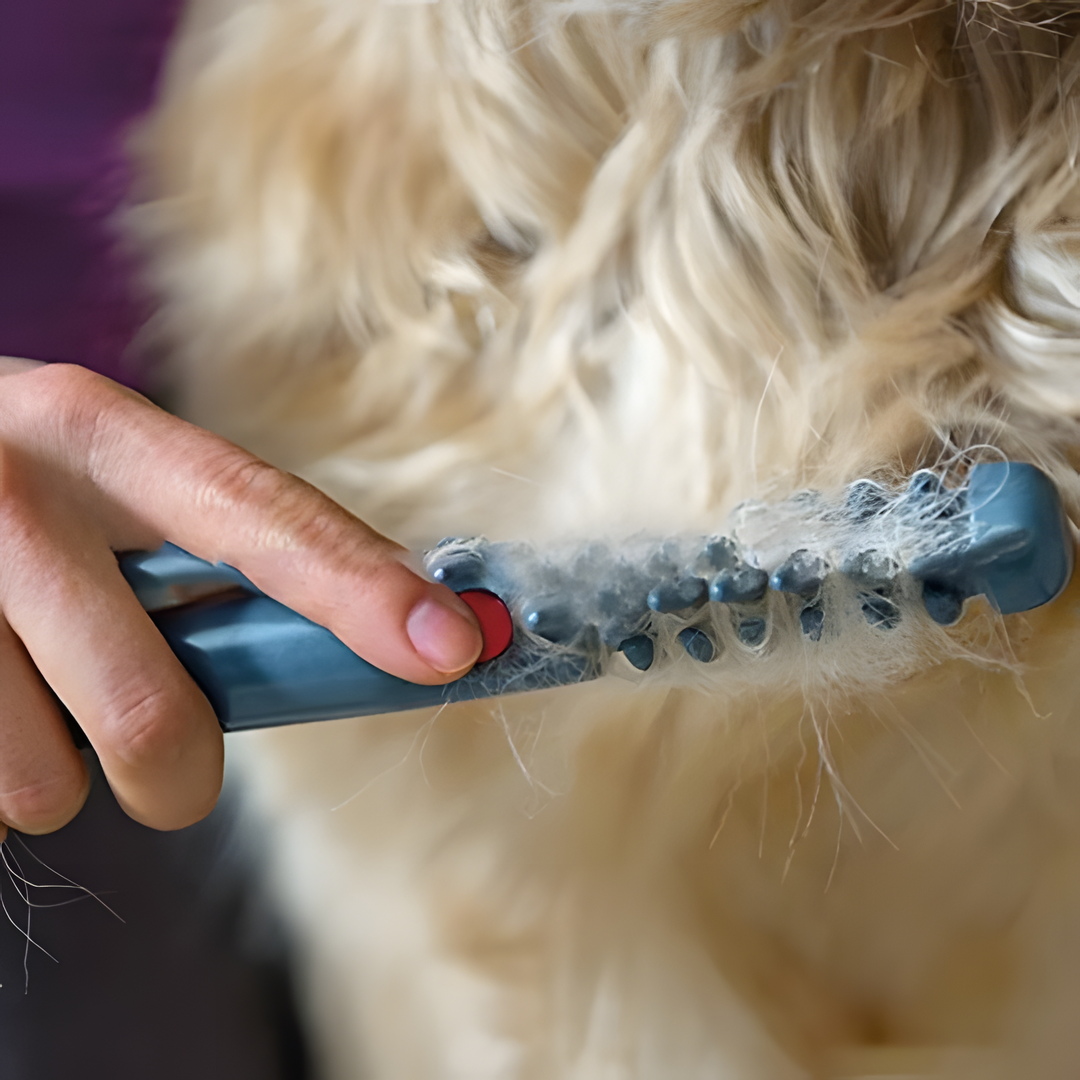 Glevato | Tangle-Free Pet Grooming Brush – Gentle & Effective Detangler for Cats & Dogs