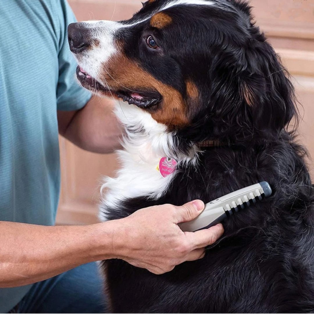 Glevato | Tangle-Free Pet Grooming Brush – Gentle & Effective Detangler for Cats & Dogs