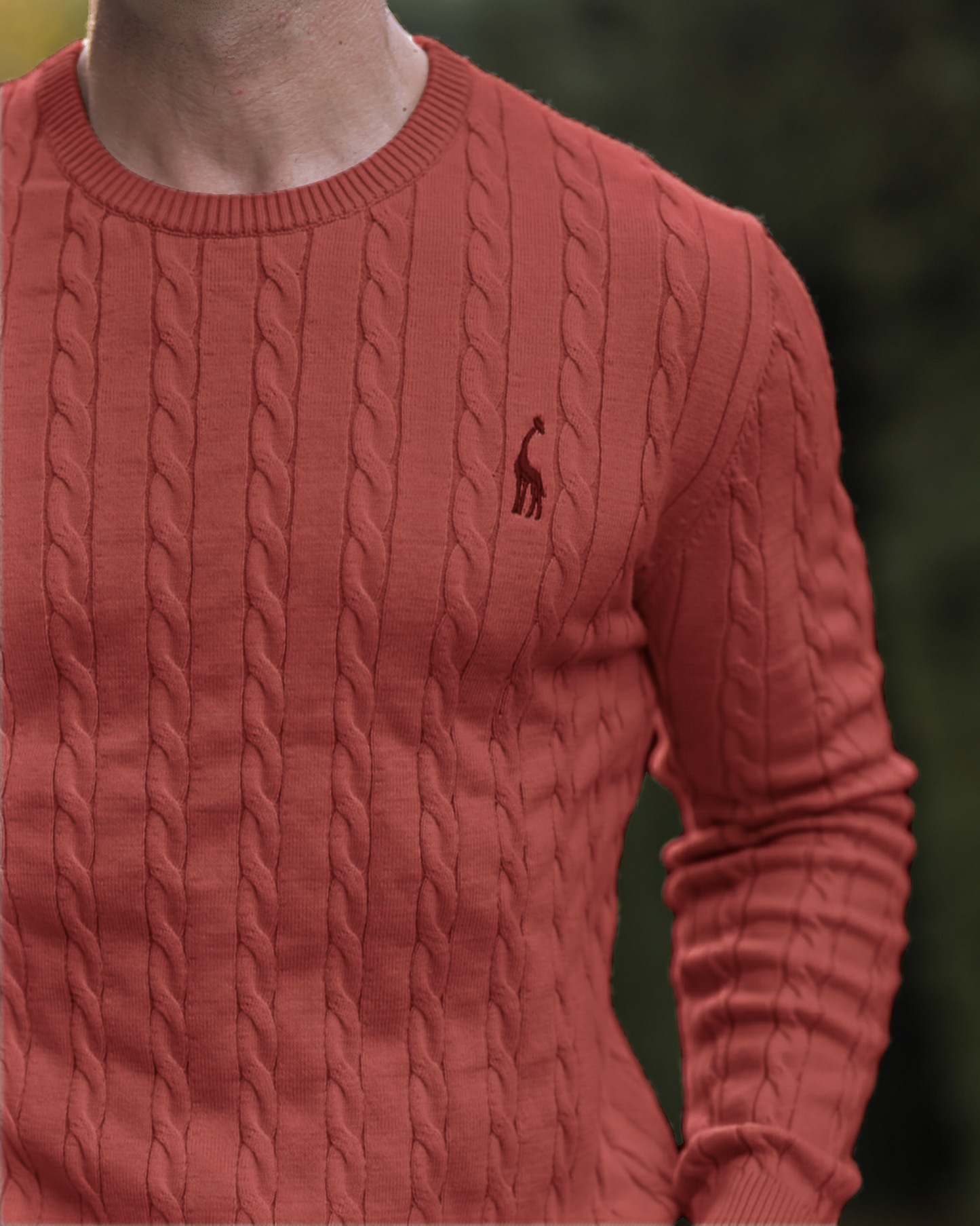 Men's Knitted Cotton Jumper - Autumn Edition