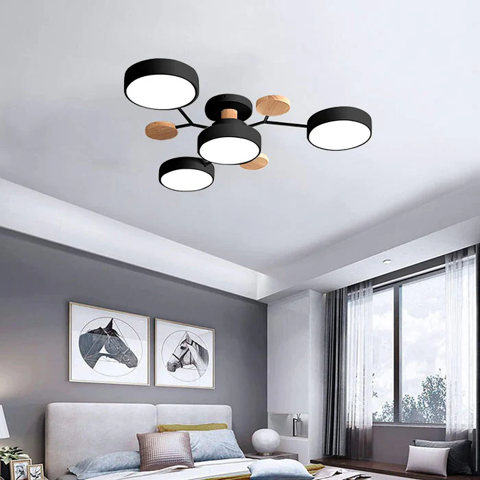 Modern LED Ceiling Light