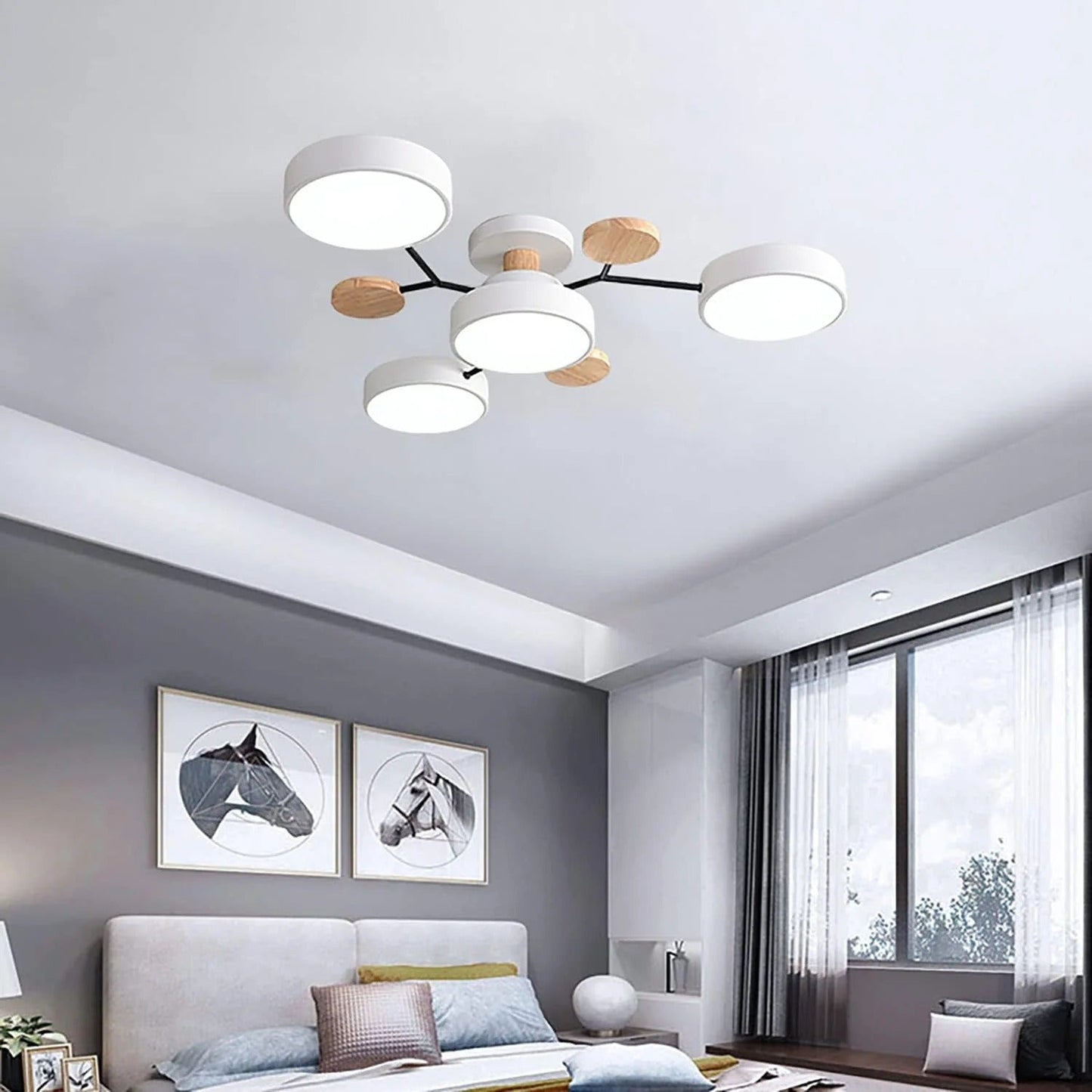 Modern LED Ceiling Light