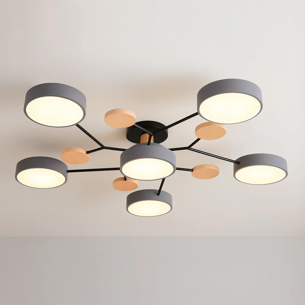 Modern LED Ceiling Light