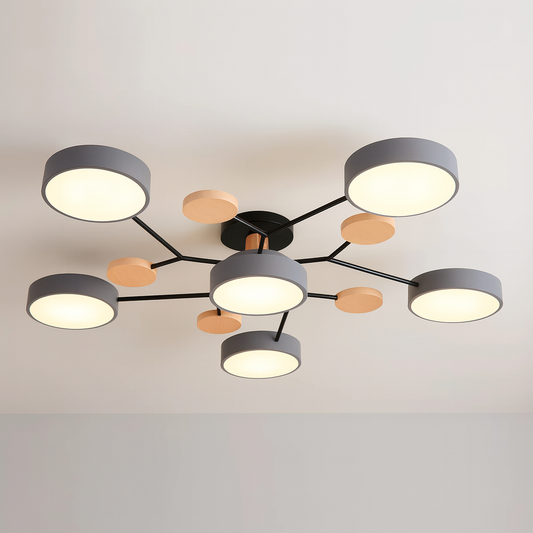 Modern LED Ceiling Light