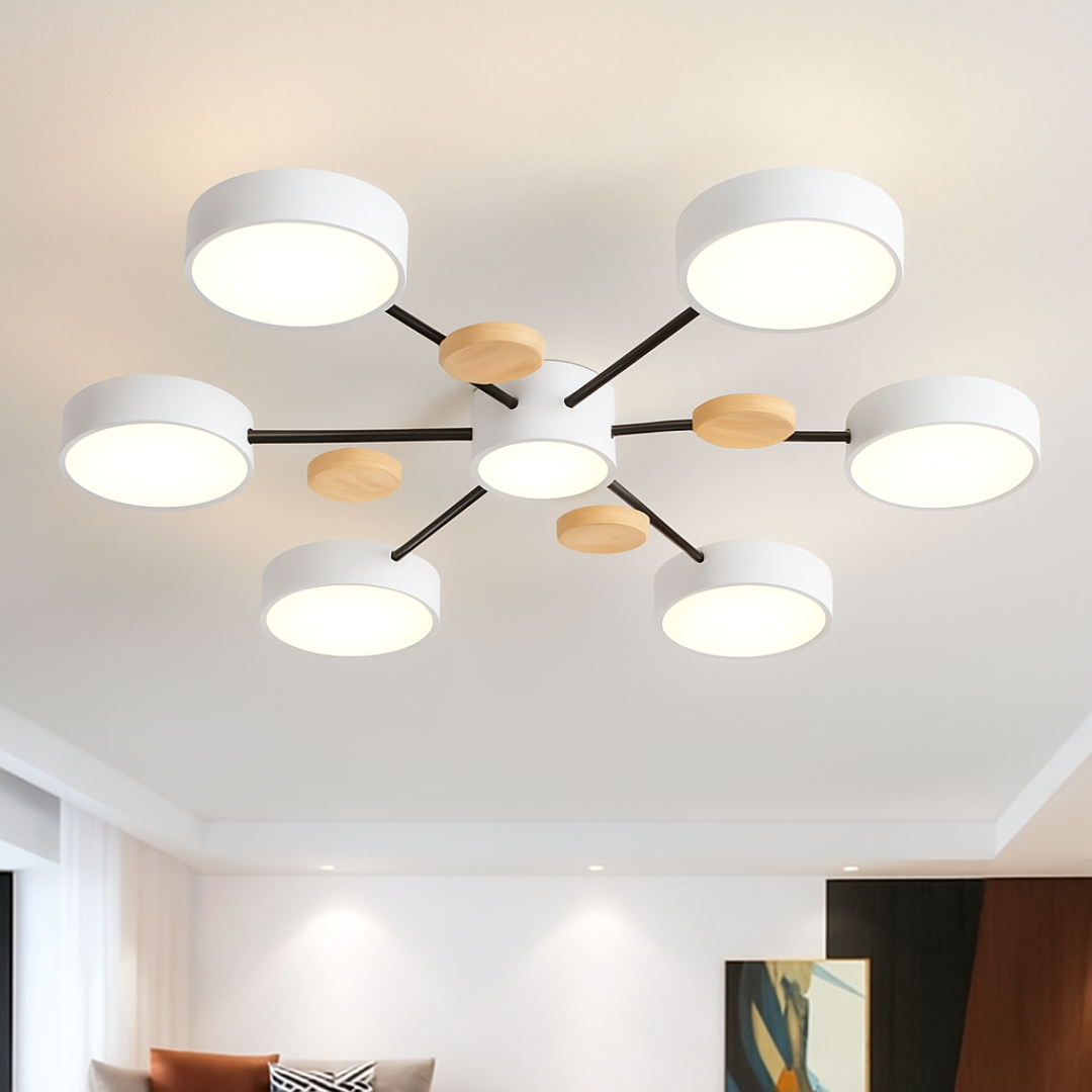 Modern LED Ceiling Light