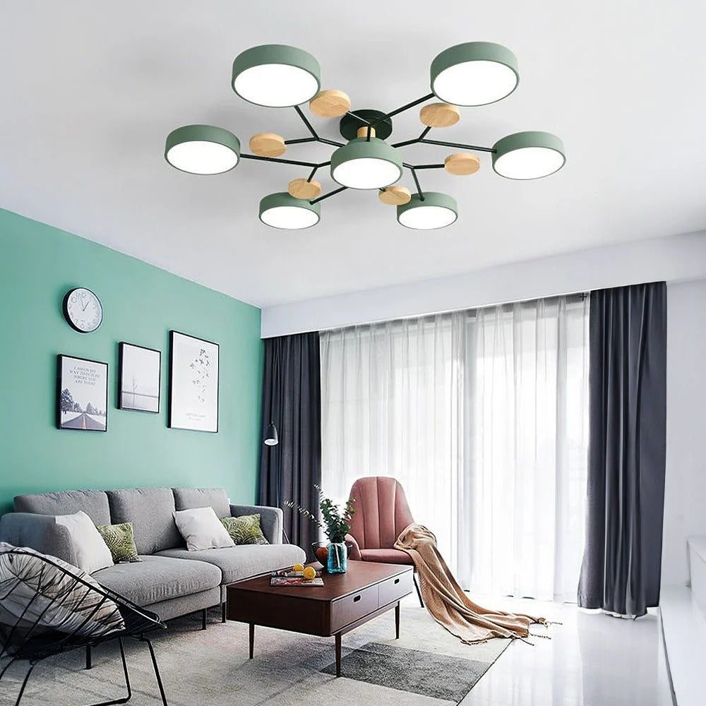 Modern LED Ceiling Light
