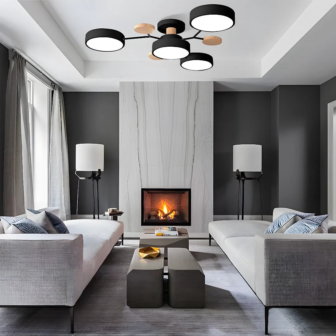 Modern LED Ceiling Light