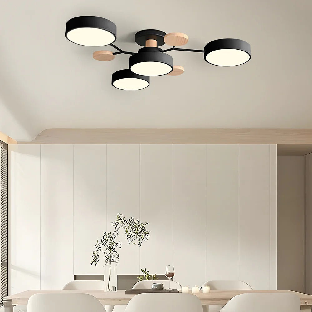 Modern LED Ceiling Light