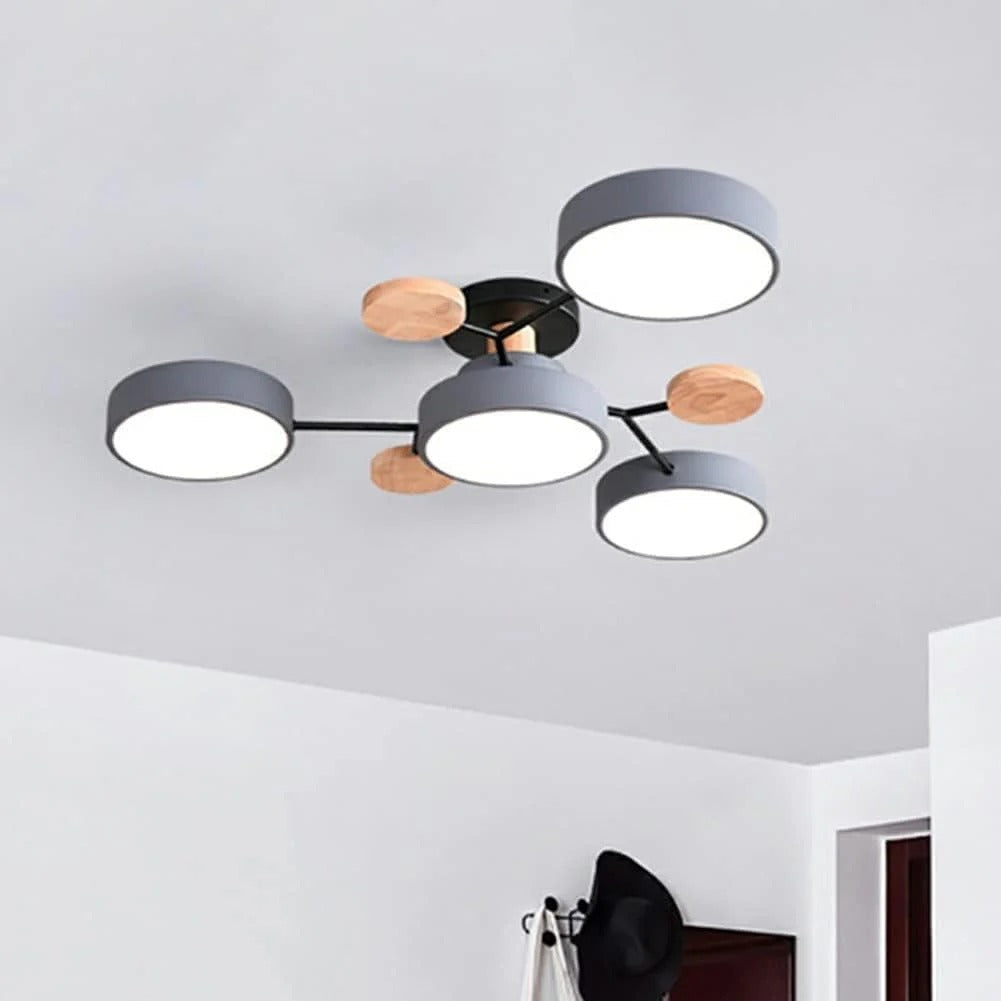 Modern LED Ceiling Light